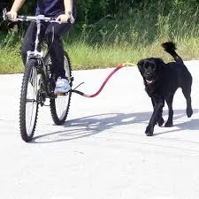 LA SIN RIVAL - CORREA PARA BICICLETA