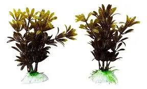 LA SIN RIVAL - PLANTA C/BASE PIEDRA