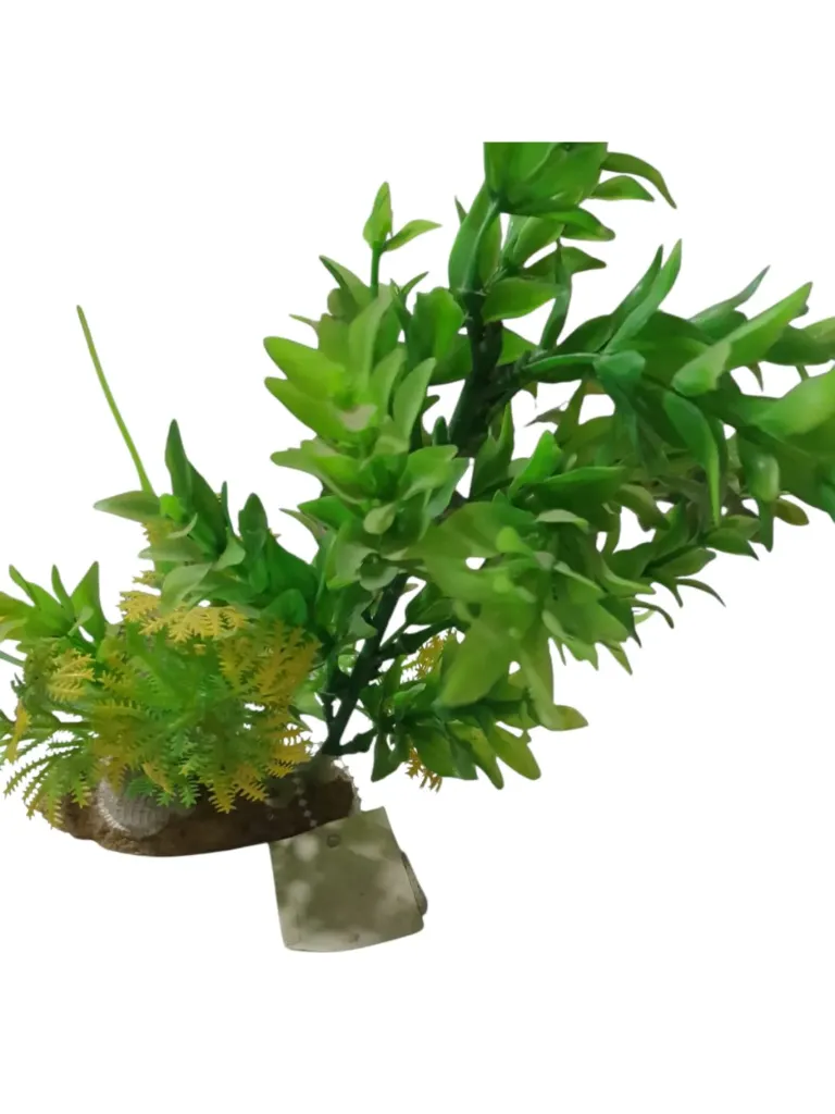 LA SIN RIVAL - PLANTA C/BASE, PLANTAS Y CARACOLES