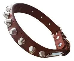 LA SIN RIVAL - COLLAR C/TACHAS Y/O REFL Y/O HILO 70CM IMPORTADOR