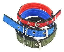 LA SIN RIVAL - COLLAR NYLON REGULABLE N°1