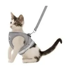 MILLEX - CONJUNTO PRETAL CON MALLA RESPIRABLE PARA GATO