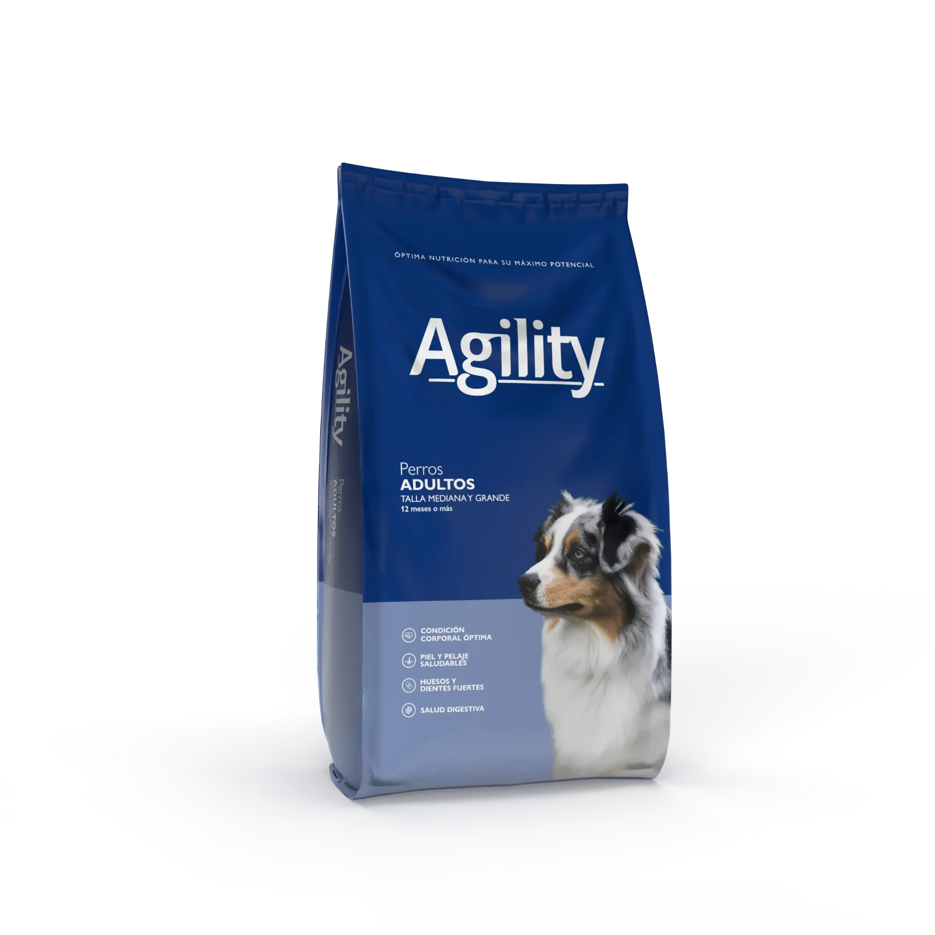AGILITY - PERRO ADULTO 3KG