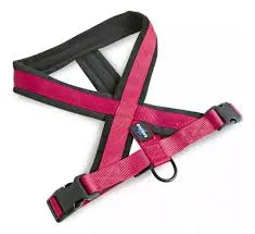 RASCALS - ARNES PERRO PREMIUM ROJO L/XL