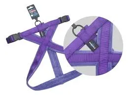 RASCALS - ARNES PERRO PREMIUM VIOLETA L/XL
