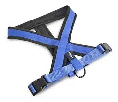 RASCALS - ARNES PERRO PREMIUM AZUL M/L