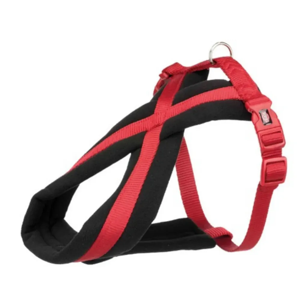 RASCALS - ARNES PERRO PREMIUM ROJO M/L