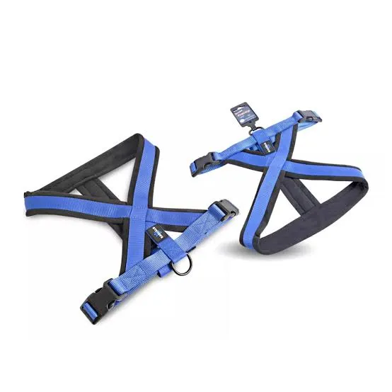 RASCALS - ARNES PERRO PREMIUM AZUL XS/S
