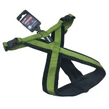 RASCALS - ARNES PERRO PREMIUM (XS/S) – VERDE MILITAR