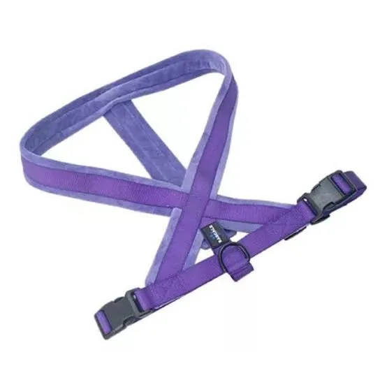 RASCALS - ARNES PERRO PREMIUM VIOLETA XS/S