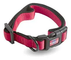 RASCALS - COLLAR PERRO PREMIUM (L)  - ROJO