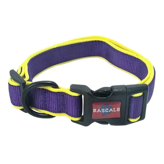 RASCALS - COLLAR PARA PERRO VIOLETA  PREMIUM "L"