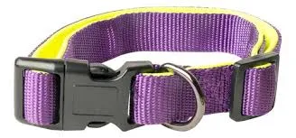RASCALS - COLLAR PERRO PREMIUM (M) - VIOLETA