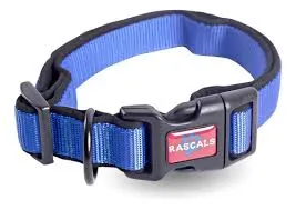 RASCALS - COLLAR PERRO PREMIUM (S) - AZUL