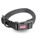 RASCALS - COLLAR PARA PERRO NEGRO PREMIUM "S"