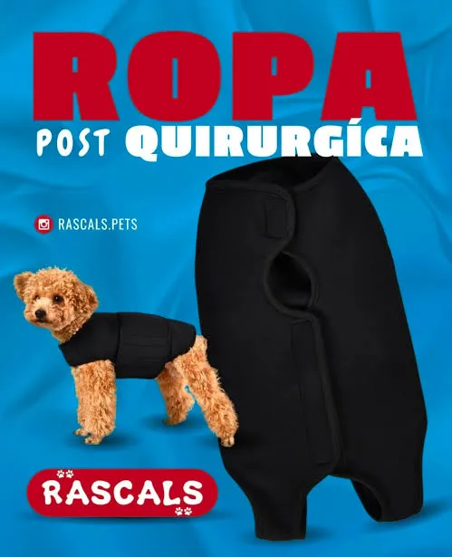 RASCALS - ARNES POST QUIRURGICO NEGRO "S"