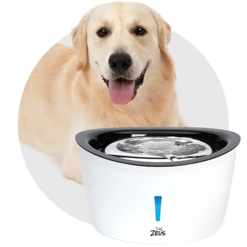 ZEUS - CASCADA DRINKING FOUNTAIN DE ACERO INOXIDABLE 6LT