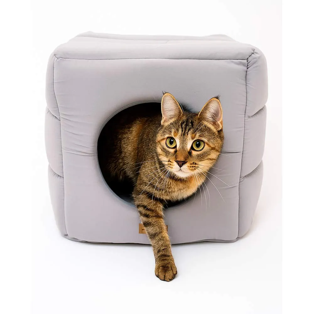 [3850B] CANCAT - MOISES CAMA GATO 40X40X40CM