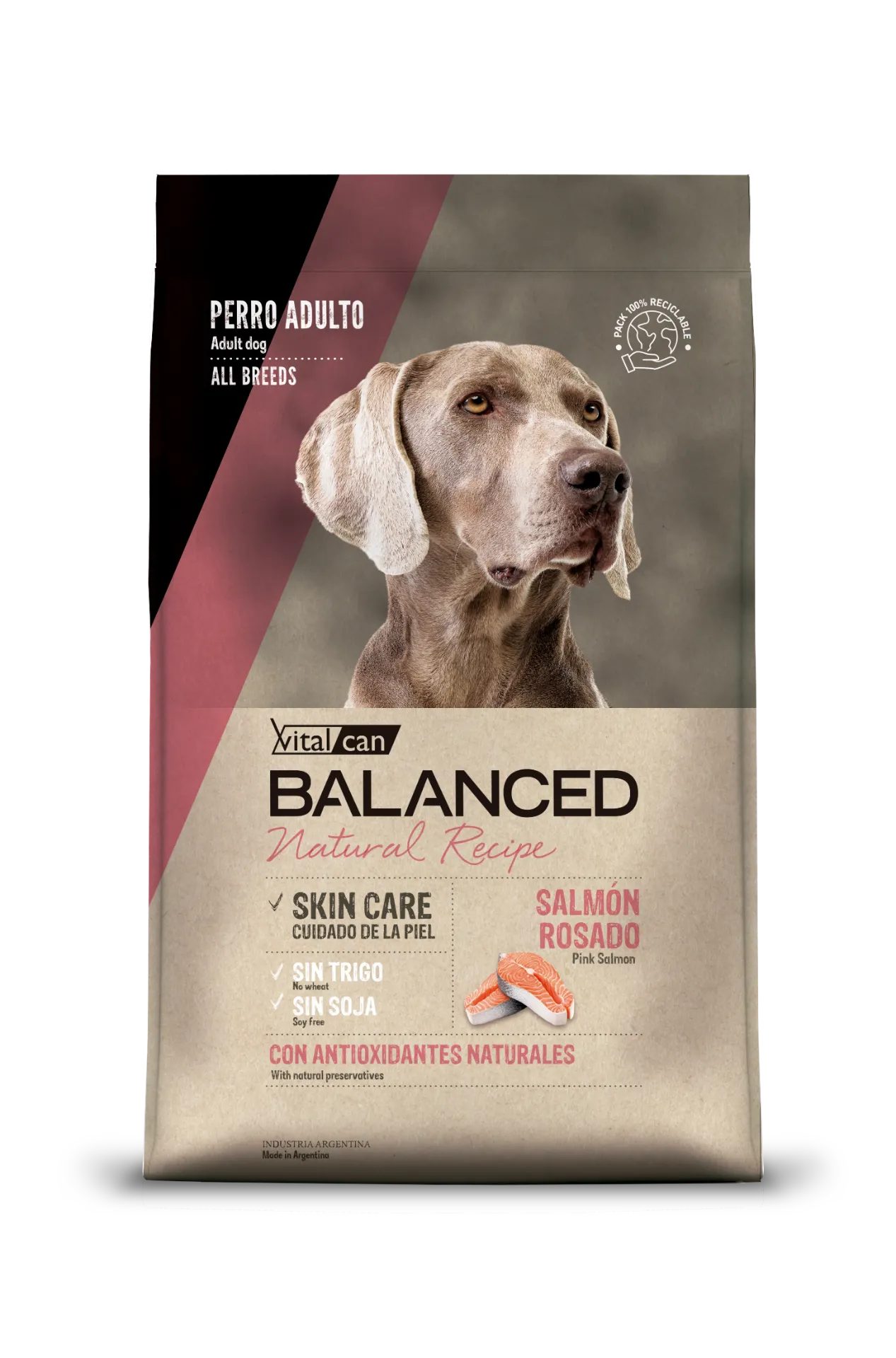 BALANCED - NATURAL RECIPE PERRO SALMON ROSADO 3KG