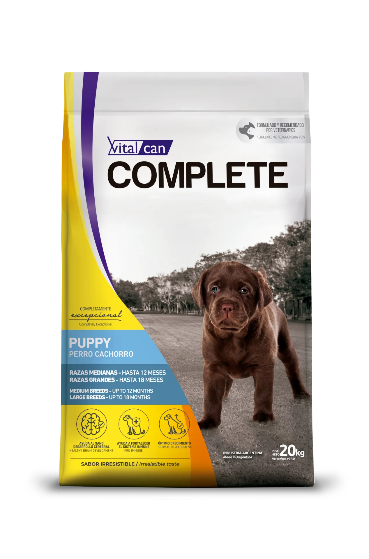 COMPLETE - PERRO CACHORRO RAZA MEDIANA Y GRANDE 20KG