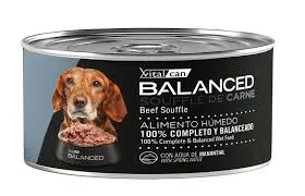 BALANCED - SOUFFLE CARNE PERRO SENIOR 85GR