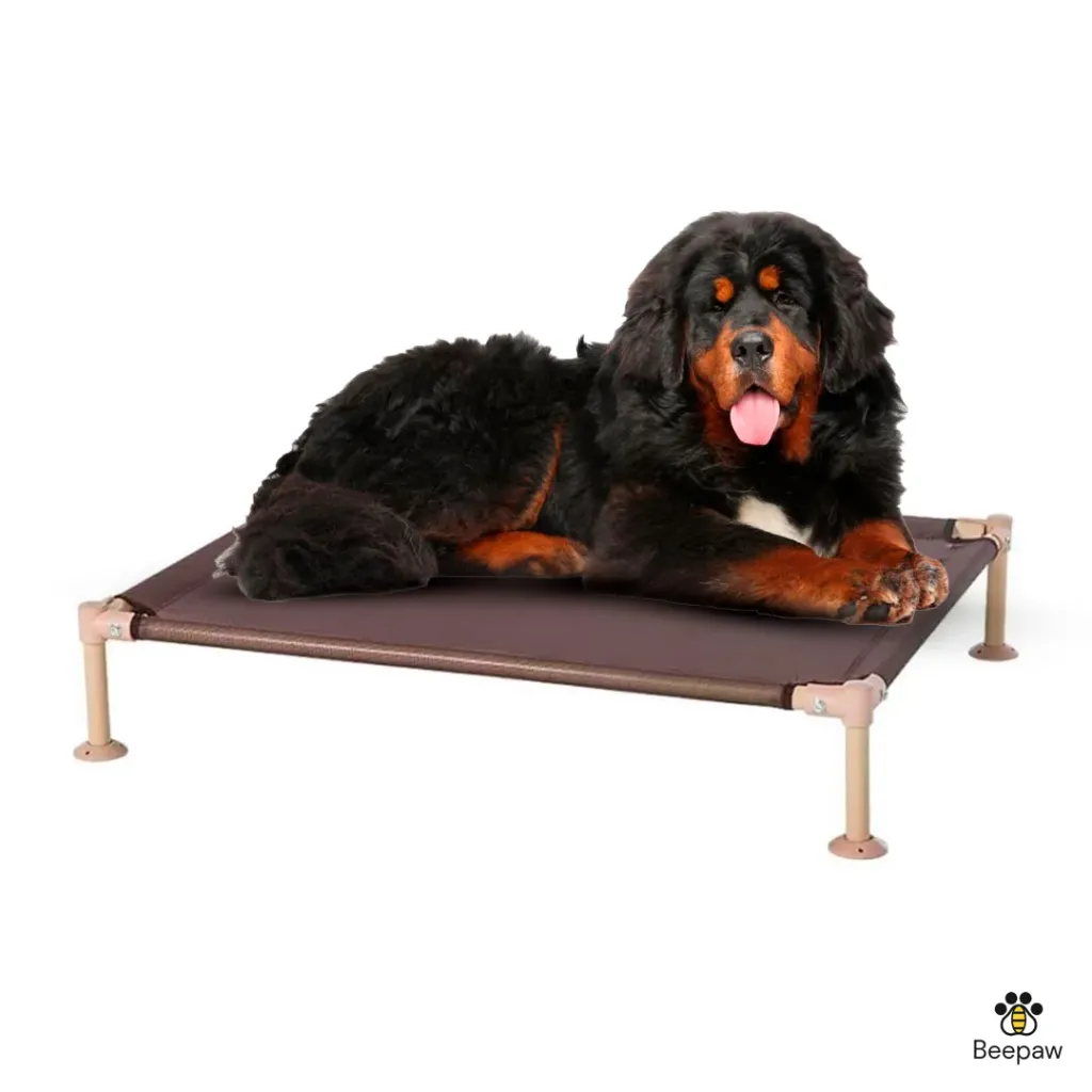 BEEPAW - CAMA EN ALTURA MALLADA PARA PERROS 122X81X21