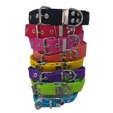 ARGEN PET - COLLAR N°1 POLIPROPILENO  LISO