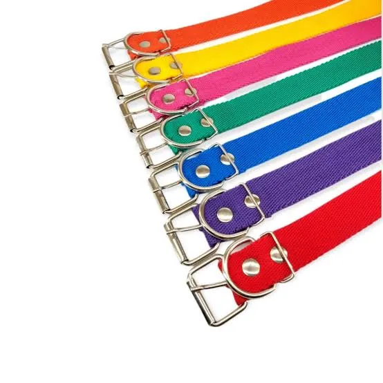 ARGEN PET - COLLAR POLIPROPILENO LISO REFORZADO N°72