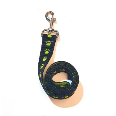ARGEN PET - CORREA 2MT POLIPROPILENO  FANTASIA ADIESTRAMIENTO