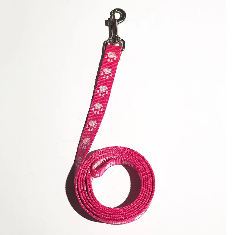 ARGEN PET - CORREA ADIESTRAMIENTO POLIPROPILENO FANTASIA 60X30