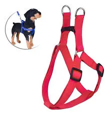 ARGEN PET - PRETAL LISO Nº1 ANTI TIRON