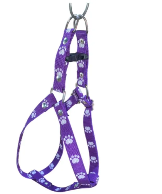 ARGEN PET - PRETAL Nº4 FANTASIA REGULABLE