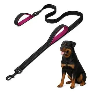 ARGEN PET - CORREAS DOBLES CON ARGOLLAS LISAS ADIESTRAMIENTO