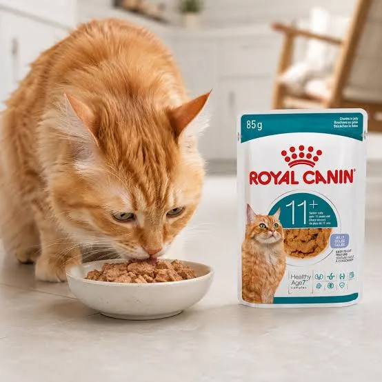 ROYAL CANIN - FELINE AGEING 11+ 85GR