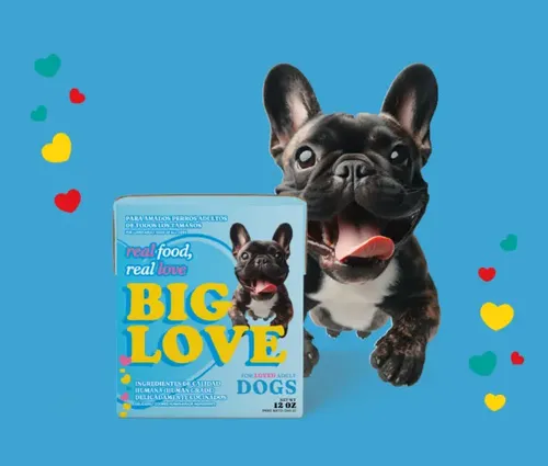 BIG LOVE - TETRA PACK PERRO ADULTO 340GR