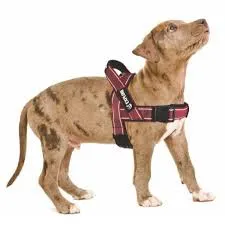 M-PETS - EXPLORE HARNESS "L"  ROJO