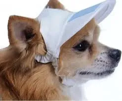 MANCHITAS - GORRO SELECCION ARGENTINA