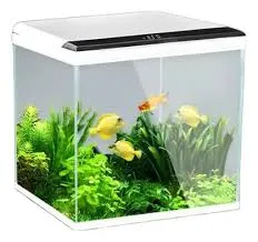 LA SIN RIVAL - PECERA DE VIDRIO 120X60X35 8MM