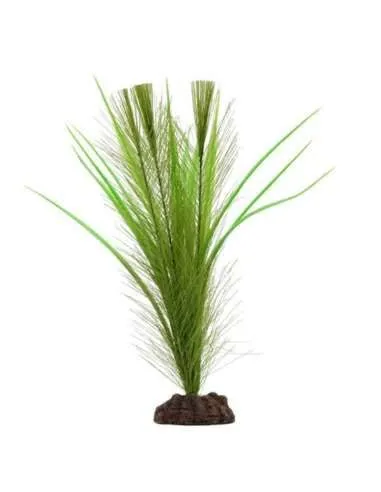 AQUA LIFE - PLANTA FLUVIAL SCAPES GREEN PARROT S